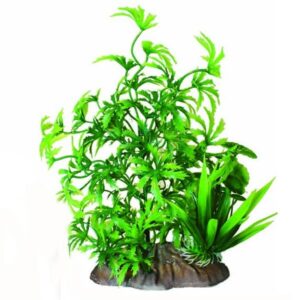 Hugo Kamishi Plant Mix 7 22cm