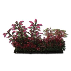 Hugo Kamishi Plant Mix 5 15cm