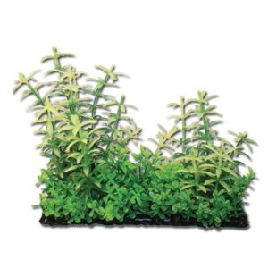Hugo Kamishi Plant Mix 7 15cm