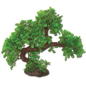 Hugo Kamishi Bonsai Summer 23cm