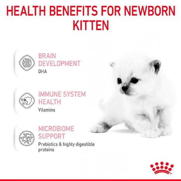 Royal Canin Babycat Milk 300g Cat Treat 3 Royal Canin Babycat Milk 300g Cat Treat - Image 3