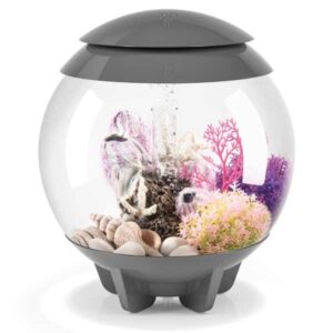biOrb Halo 15 Litre LED Grey Aquarium