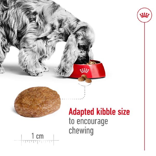 Royal Canin Medium 7+ 4kg Dry Dog Food 3 Royal Canin Medium 7+ 4kg Dry Dog Food - Image 3