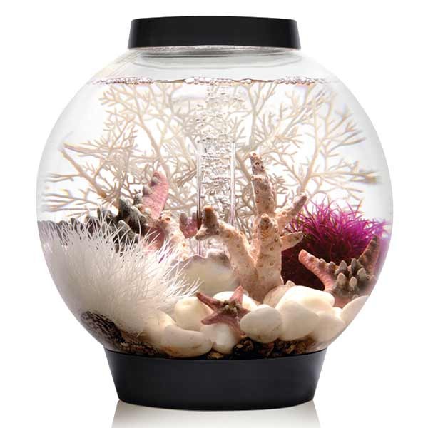 biOrb Classic 15 Litre LED Black Aquarium 2 biOrb Classic 15 Litre LED Black Aquarium - Image 2