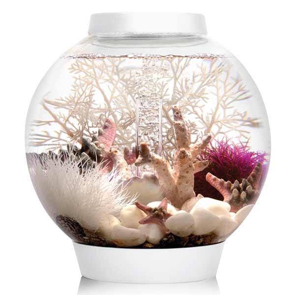 biOrb Classic 15 Litre LED White Aquarium 2 biOrb Classic 15 Litre LED White Aquarium - Image 2