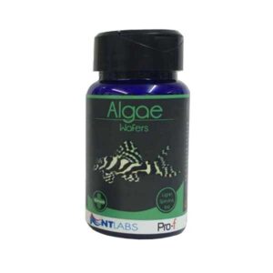 NT Labs Pro-f Algae Wafers 110g