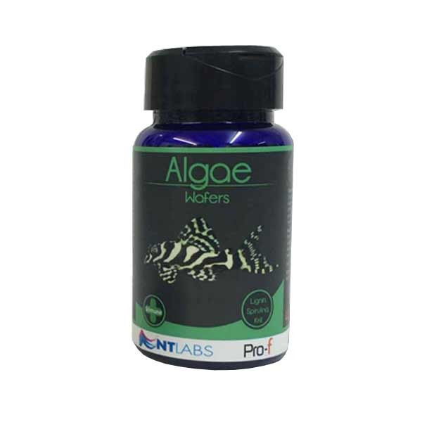 NT Labs Pro-f Algae Wafers 110g 1 NT Labs Pro-f Algae Wafers 110g