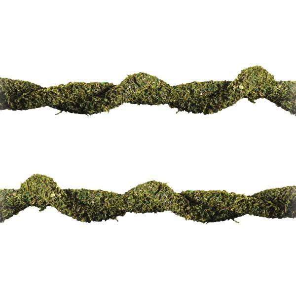 Exo Terra Bendable Moss Vine Small 2 Exo Terra Bendable Moss Vine Small - Image 2