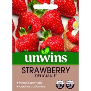 Unwins Strawberry Delician Seeds
