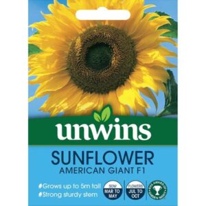 Unwins Sunflower American Giant F1 Seeds