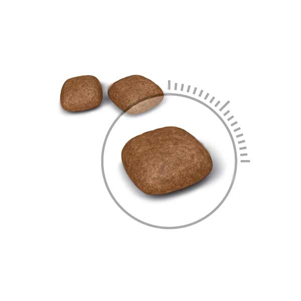 Royal Canin Urinary Care Adult 400g Dry Cat Food 2 Royal Canin Urinary Care Adult 400g Dry Cat Food - Image 2