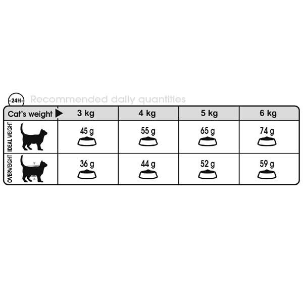 Royal Canin Urinary Care Adult 2kg Dry Cat Food 3 Royal Canin Urinary Care Adult 2kg Dry Cat Food - Image 3