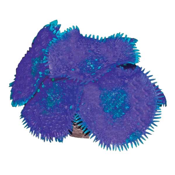 Copi Coral Mushrooms 7.5x7.5x4cm Mixed Colour 2 Copi Coral Mushrooms 7.5x7.5x4cm Mixed Colour - Image 2