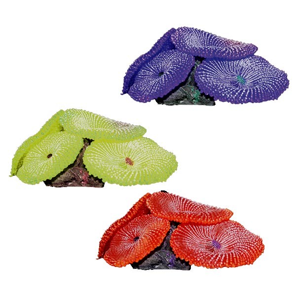 Copi Coral Buttons 7.5x7.5x4cm Mixed Colour