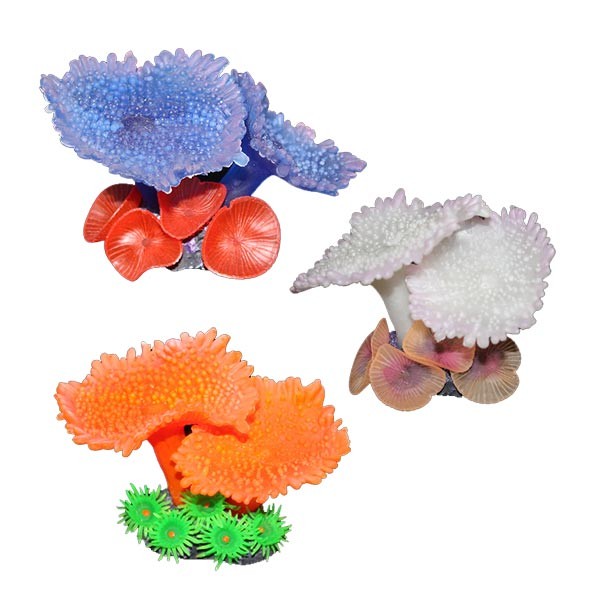 Copi Coral Disc Anemone 11.5x7.5x6cm Mixed Colour