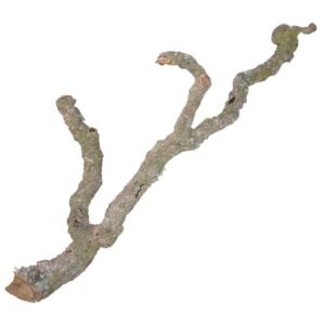 Lucky Reptile Tronchos Cork Branch 40-60 cm