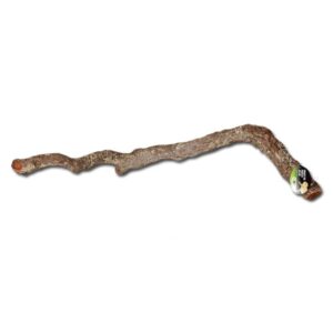 ProRep Cork Oak Branch 40-60cm