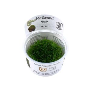 Tropica 1-2-Grow! Riccia fluitans Moss Pot