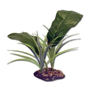Komodo Evergreen Canopy