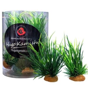Hugo Kamishi Miniature Foreground 2 Aquascaping Aquarium Plants (10 Pack)