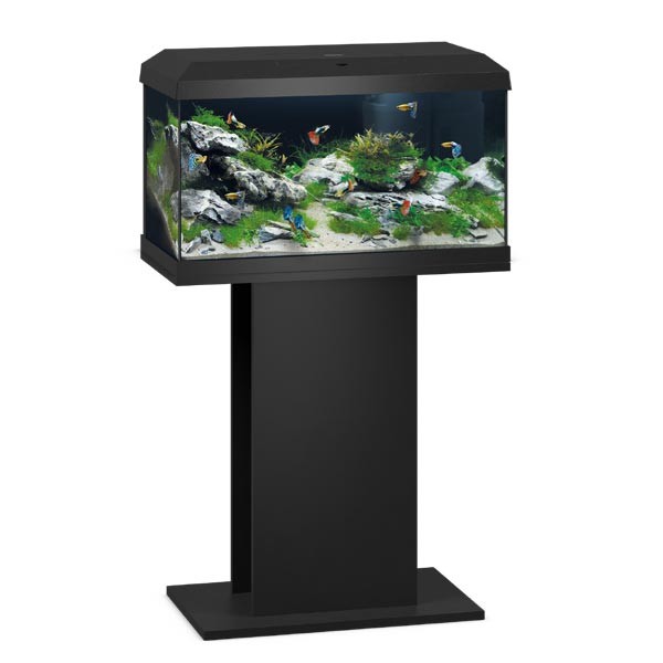 Juwel Primo Black 60 LED 2.0 Aquarium 2 Juwel Primo Black 60 LED 2.0 Aquarium - Image 2