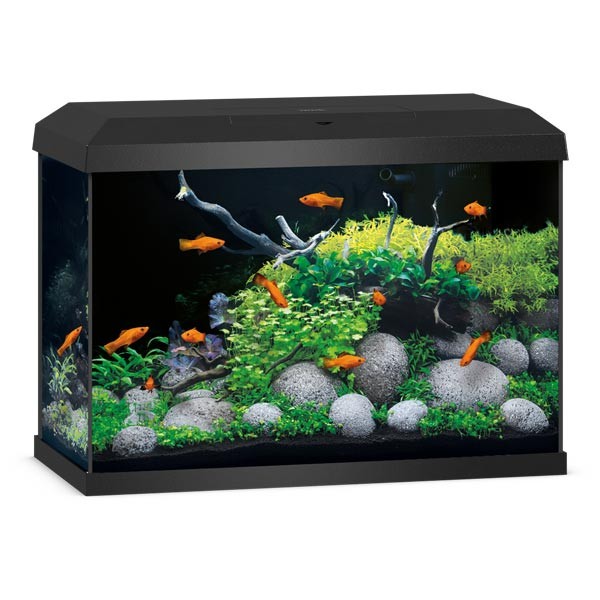 Juwel Primo Black 70 2.0 LED Aquarium 1 Juwel Primo Black 70 2.0 LED Aquarium