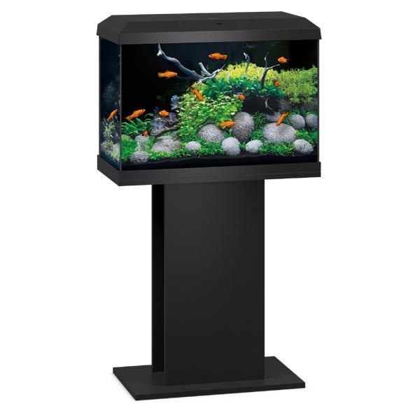 Juwel Primo Black 70 2.0 LED Aquarium 2 Juwel Primo Black 70 2.0 LED Aquarium - Image 2