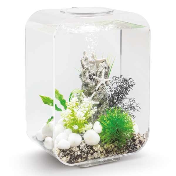 biOrb Life 15 Litre LED Transparent Aquarium 2 biOrb Life 15 Litre LED Transparent Aquarium - Image 2