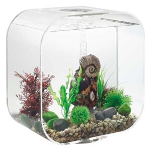 biOrb Life 30 Litre LED Transparent Aquarium