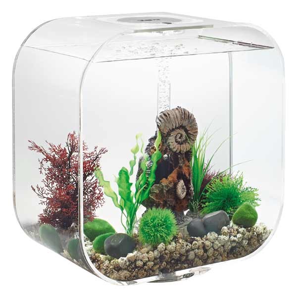 biOrb Life 30 Litre LED Transparent Aquarium 1 biOrb Life 30 Litre LED Transparent Aquarium