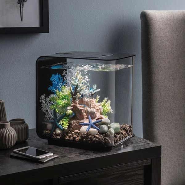 biOrb Flow 15 Litre LED Black Aquarium 3 biOrb Flow 15 Litre LED Black Aquarium - Image 3