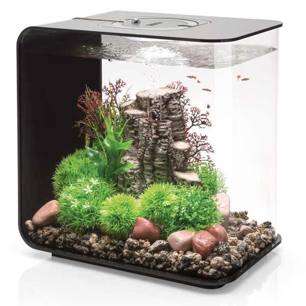 biOrb Flow 30 Litre LED Black Aquarium 1 biOrb Flow 30 Litre LED Black Aquarium