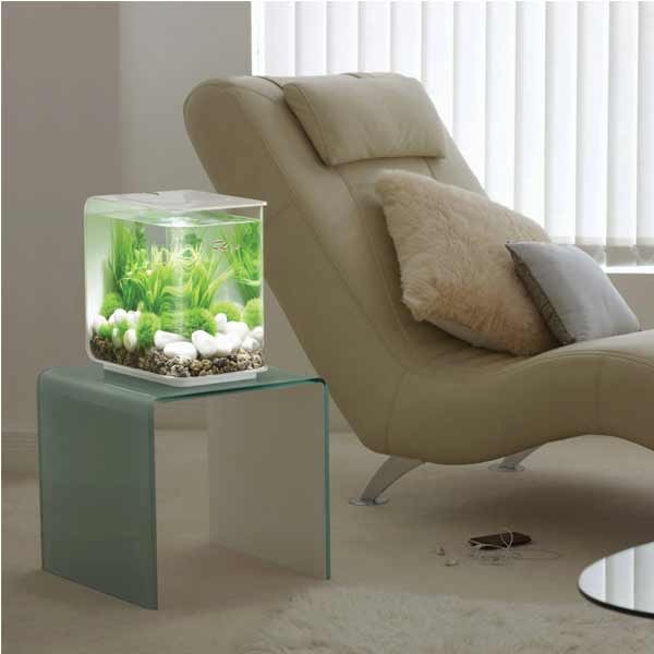 biOrb Flow 30 Litre LED White Aquarium 4 biOrb Flow 30 Litre LED White Aquarium - Image 4