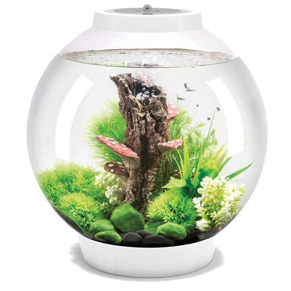 biOrb Classic 30 Litre LED White Aquarium 1 biOrb Classic 30 Litre LED White Aquarium