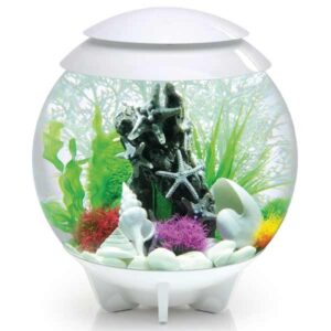 biOrb Halo 30 Litre LED White Aquarium