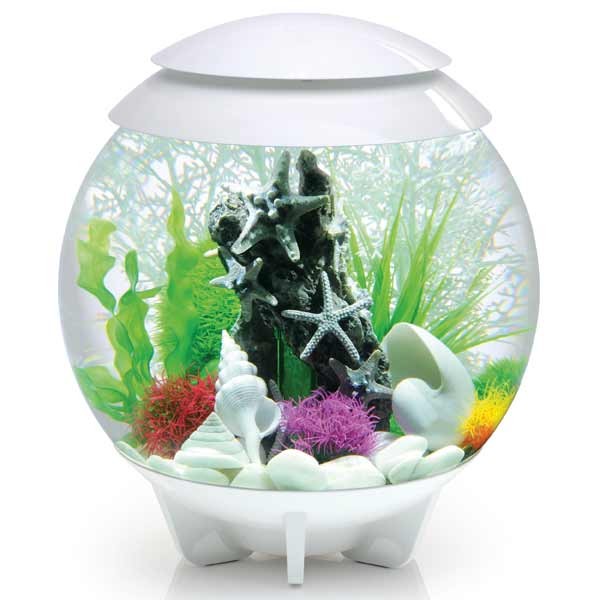 biOrb Halo 30 Litre LED White Aquarium 1 biOrb Halo 30 Litre LED White Aquarium