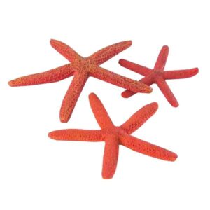biOrb Starfish Red 3 Pack Decor