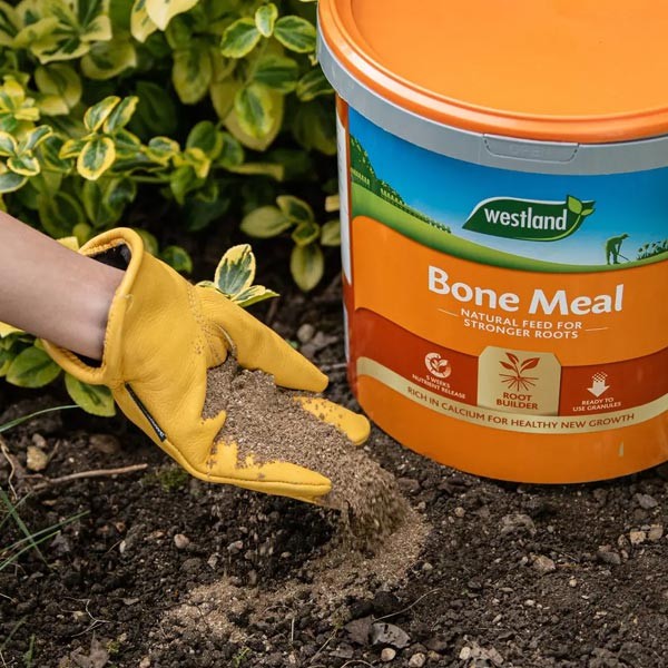 Westland Bonemeal 1.5kg 2 Westland Bonemeal 1.5kg - Image 2