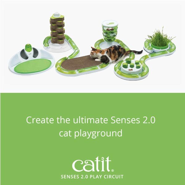 Catit Senses 2.0 Play Circuit Cat Toy 7 Catit Senses 2.0 Play Circuit Cat Toy - Image 7