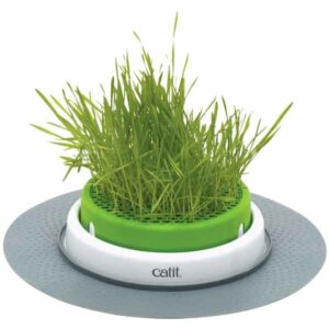Catit Senses 2.0 Grass Planter Feeder/Cat Toy