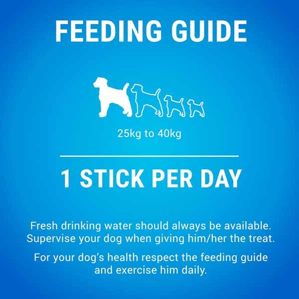 Dentalife Dental Sticks Chicken Large 4 Pack Dog Treat 4 Dentalife Dental Sticks Chicken Large 4 Pack Dog Treat - Image 4