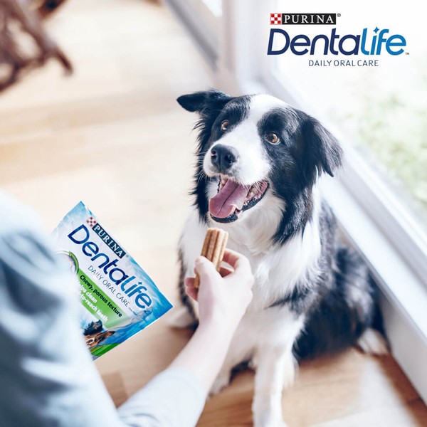 Dentalife Dental Sticks Chicken Medium 15 Pack Dog Treat 6 Dentalife Dental Sticks Chicken Medium 15 Pack Dog Treat - Image 6
