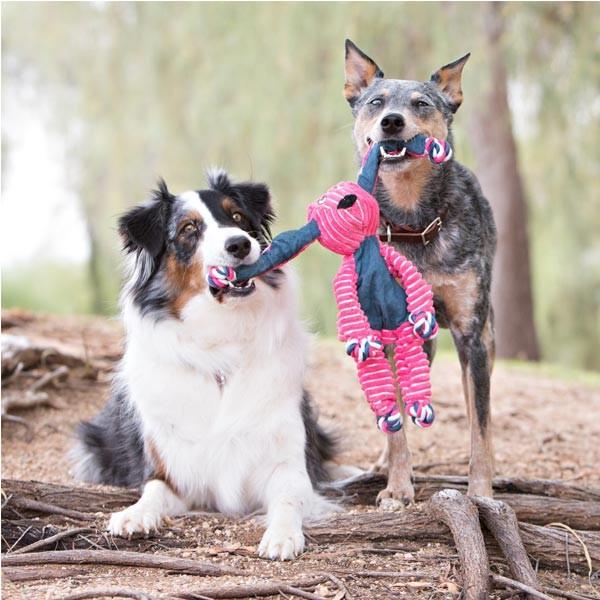 KONG Floppy Knots Hippo Medium/Large Dog Toy 2 KONG Floppy Knots Hippo Medium/Large Dog Toy - Image 2