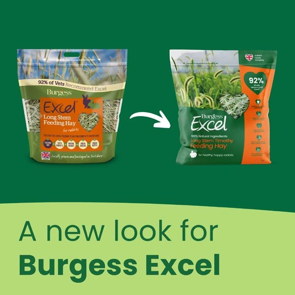 Burgess Excel Long Stem Feeding Hay 1kg 2 Burgess Excel Long Stem Feeding Hay 1kg - Image 2