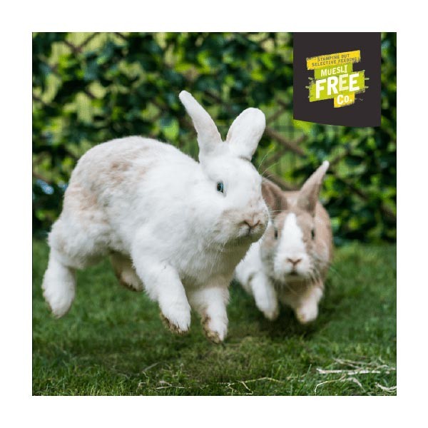 Burgess Excel Natures Blend Rabbit Nuggets with Hedgerow Herbs 1.5kg 5 Burgess Excel Natures Blend Rabbit Nuggets with Hedgerow Herbs 1.5kg - Image 5