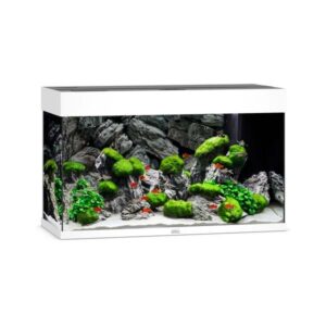 Juwel Rio 125 White LED Aquarium