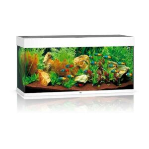 Juwel Rio 180 White LED Aquarium