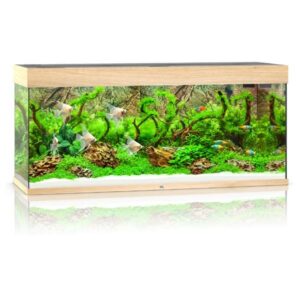 Juwel Rio 240 Lightwood LED Aquarium