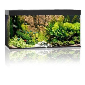 Juwel Rio 350 Black LED Aquarium