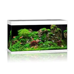 Juwel Rio 350 White LED Aquarium
